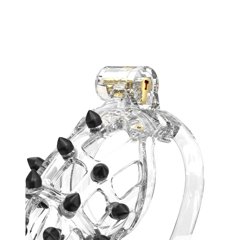 Rimba P-Cage PC09 Medium Transparent - Image 2